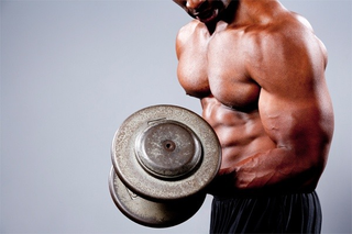 Illustration for article titled Weightlifting Tips To Tone Your Body, Develop Muscle Quickly, And Disappear Fat